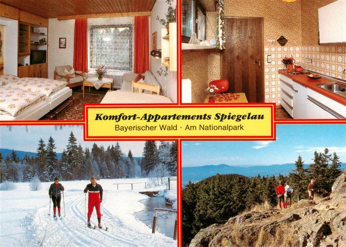 Spiegelau Komfort Appartements Spiegelau Zimmer Kueche Langlaufloipe Panorama