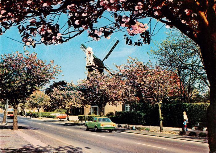 Wittmund Hauptstrasse Windmuehle Baumbluete