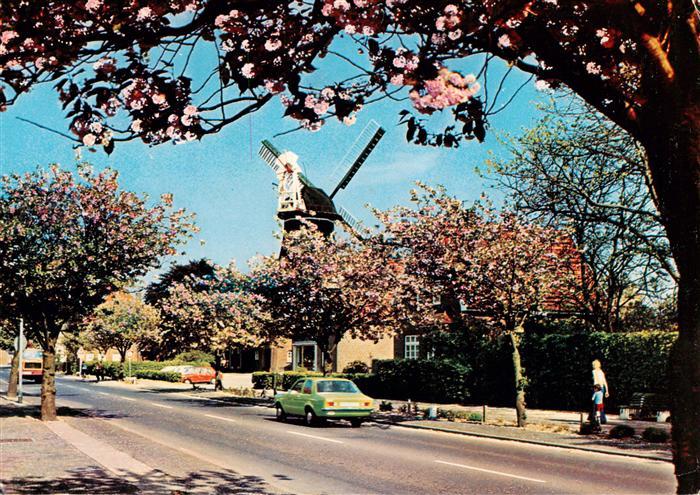 Wittmund Hauptstrasse Windmuehle Baumbluete