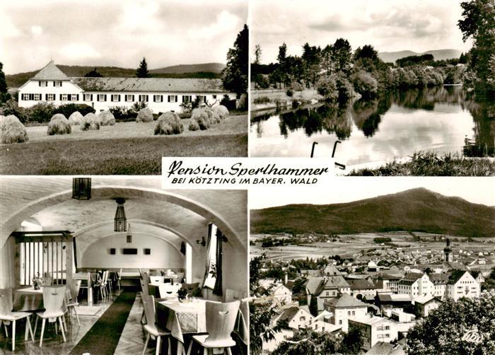 Sperlhammer Bad Koetzting Pension Sperlhammer Ortspanorama See Bayerischer Wald