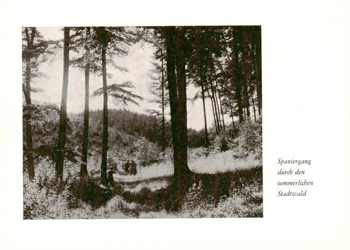 Iserlohn Spaziergang durch den sommerlichen Stadtwald