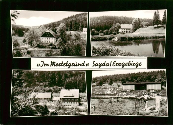 Sayda Im Mortelgrund See Freibad