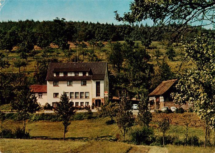 Annelsbach Hoechst  Odenwald Pension Dornroeschen Gasthaus Cafe