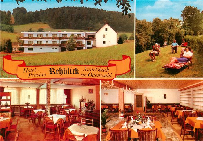 Annelsbach Hoechst  Odenwald Hotel Pension Rehblick Gastraeume Liegewiese