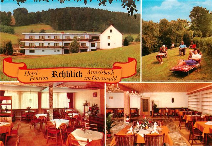 Annelsbach Hoechst  Odenwald Hotel Pension Rehblick Gastraeume Liegewiese