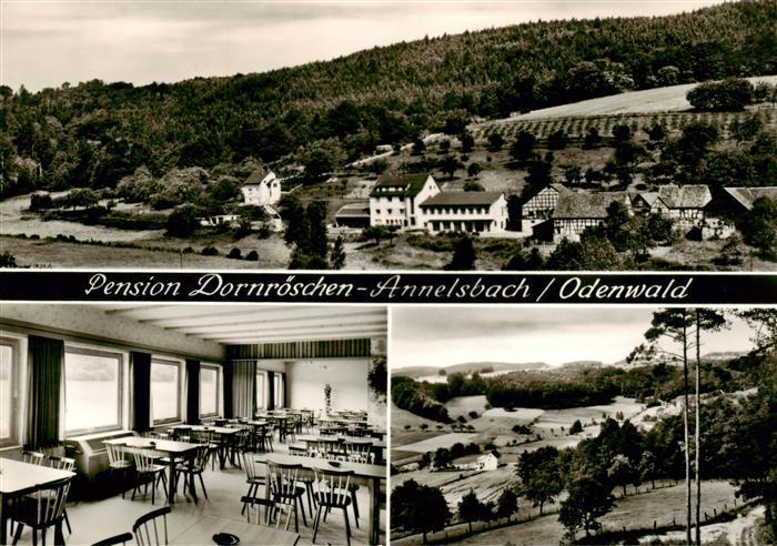 Annelsbach Hoechst  Odenwald Panorama Pension Dornroeschchen Landschaft Bromsilb