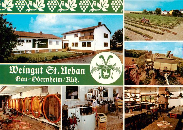 Gau-Odernheim Weingut St. Urban