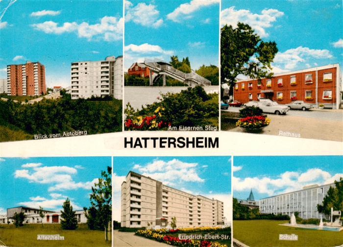 Hattersheim Main Blick vom Autoberg Am Eisernen Steg Rathaus Altenheim Friedr Eb
