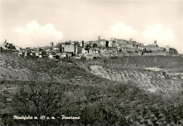 Montefalco Panorama