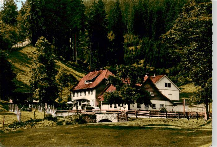 St Andreasberg Harz Forsthaus Schluft im Siebertal