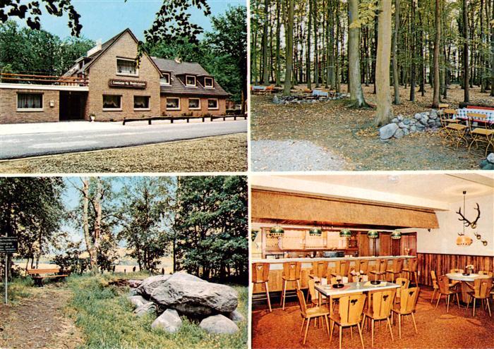 Gross Sterneberg Waldschaenke Gastraum Park