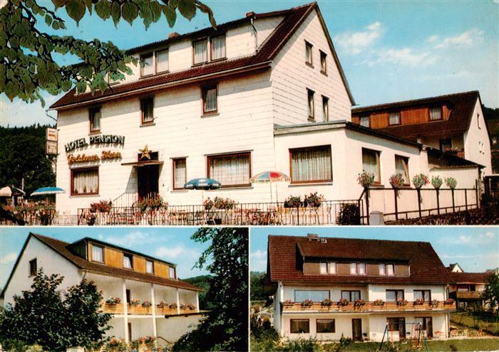Bad Sachsa Harz Hotel Pension Goldener Stern