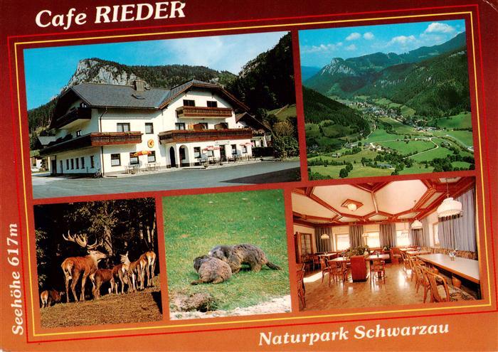 Schwarzau Gebirge Niederoesterreich AT Cafe Rieder Gastraum Panorama Rotwild Bib