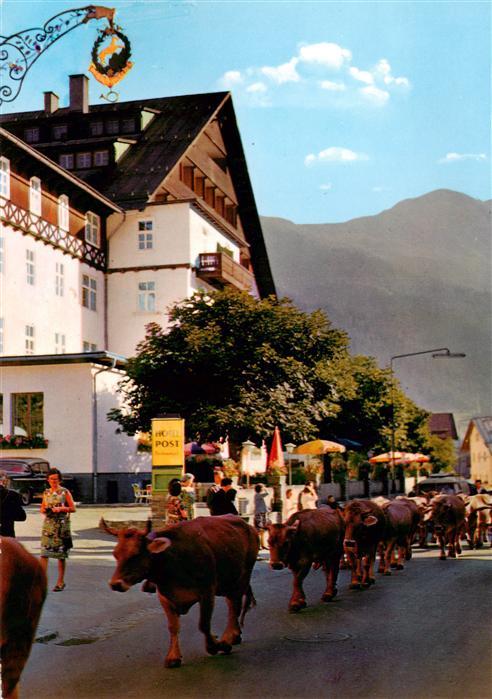 St Anton Arlberg AT Viehtrieb