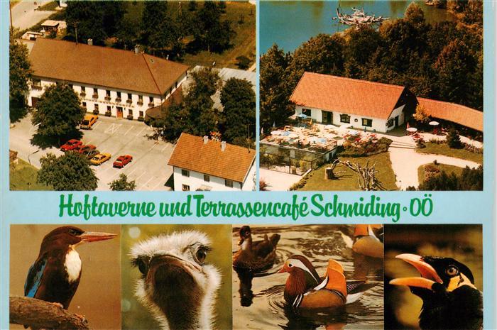Krenglbach Gasthaus Restaurant Hoftaverne und Terrassencafe Schmiding Vogelpark