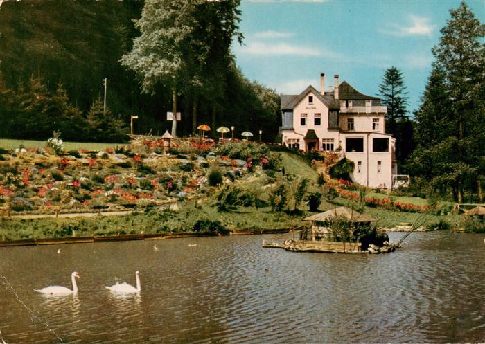 Rengsdorf Hotel Pension Waldcafe Obere Muehle Schwanenteich