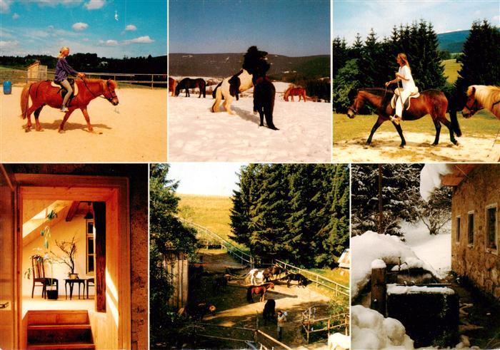 Neureichenau Bayern Ohnengutl Pferdehof Reiter Gaststube Koppel