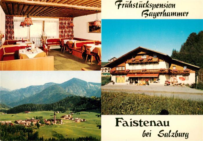 Faistenau Salzburg AT Fruehstueckpension Bayerhammer Gastraum Panorama
