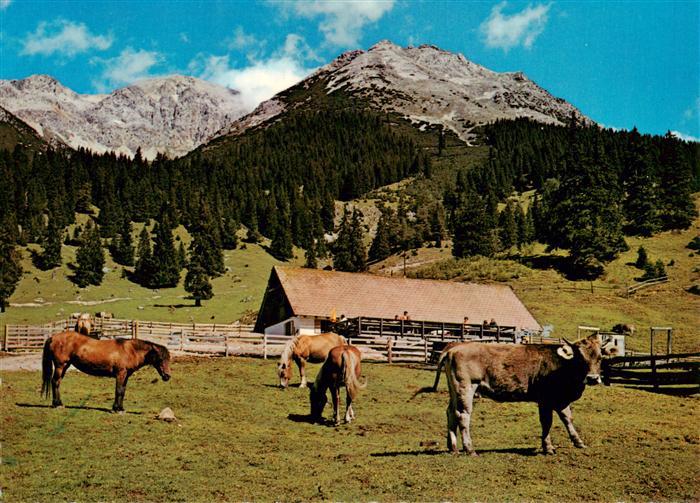 Leutasch Tirol AT Gaistalalm Gastwirtschaft Kleiner Wanner Hochwanner Predigtstu