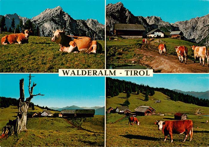 Walderalm Gnadenwald Tirol AT Gasthaus Hinterhorn Alm Teilansichten