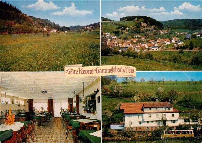 Gammelsbach Gasthof Pension Zur Krone Panorama Gastraum