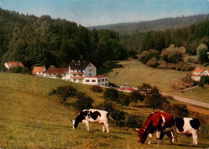 Gras-Ellenbach Grasellenbach Cafe Pension Gassbachtal