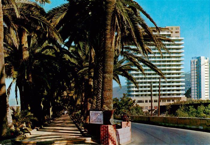Puerto-de-la-Cruz Tenerife ES Hotel San Felipe Palmenallee