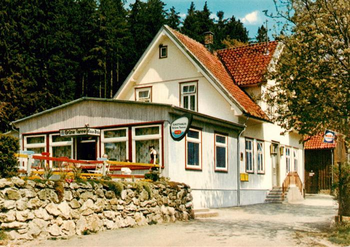 Festenburg Clausthal-Zellerfeld Oberharz Waldgasthaus Gruene Tanne