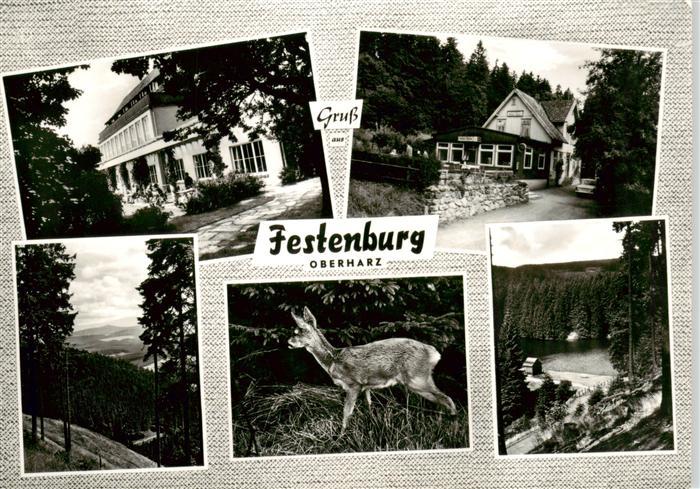 Festenburg Clausthal-Zellerfeld Oberharz Gasthaus Panorama Reh