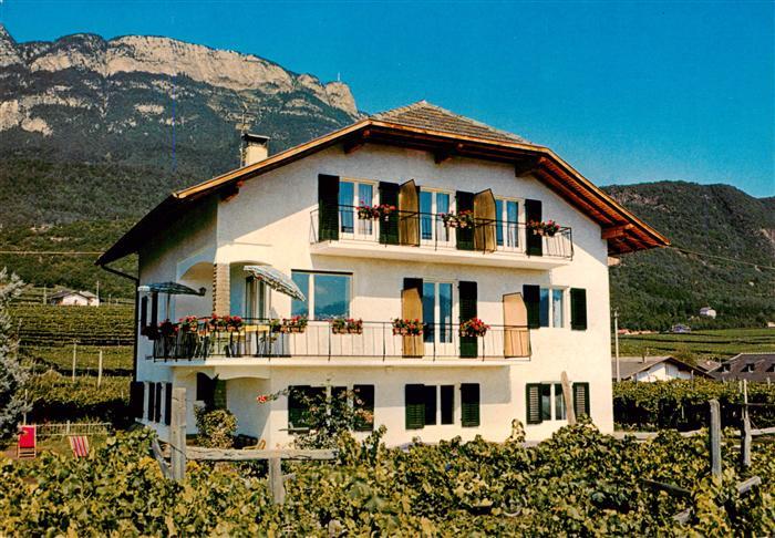 Kaltern Caldaro Suedtirol IT Traubenheim
