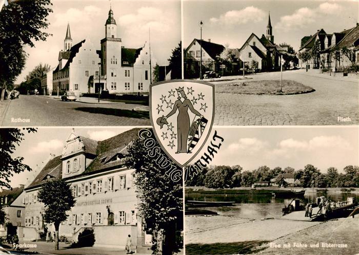 Coswig Anhalt Rathaus Flieth Sparkasse Elbe mit Faehre und Elbterrasse