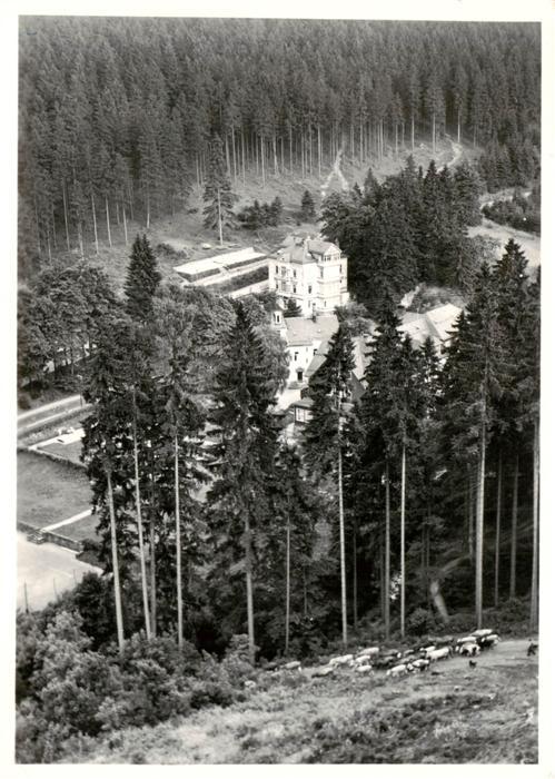 Friedrichroda Cafe Konditorei Waldschloesschen