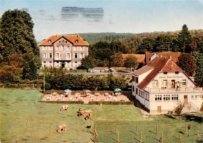 Johanniskreuz Trippstadt Gasthaus Pension Hch. Braband