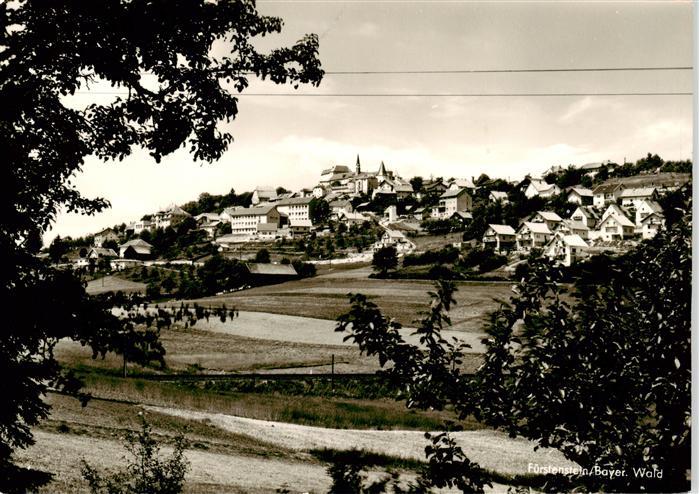Fuerstenstein Niederbayern Panorama