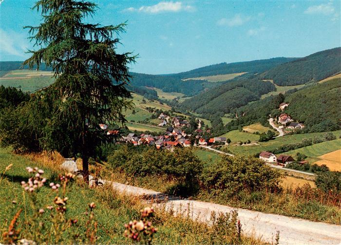 Titmaringhausen Panorama