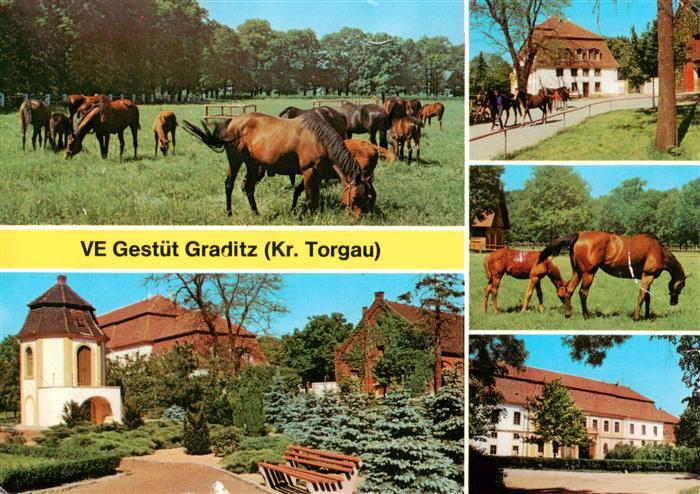 Graditz VE Gestuet