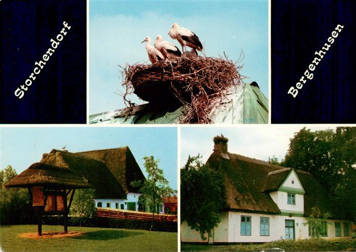 Bergenhusen Storchendorf Reetdachhaeuser Storchennest