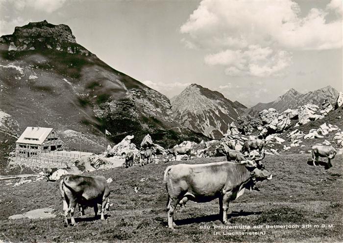 Pfaelzerhuette 2111 Bettlerjoch Liechtenstein Panorama