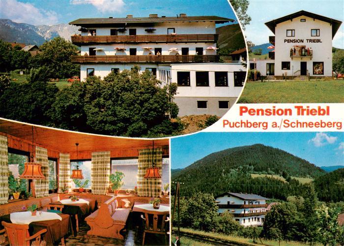 Puchberg Schneeberg Pension Triebl Gaststube Panorama