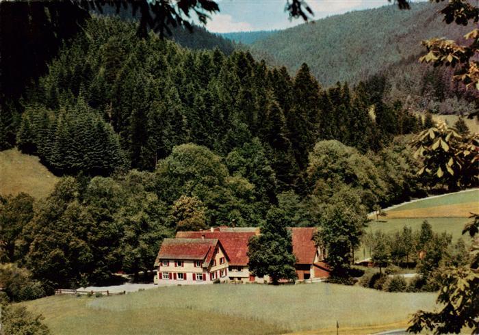 Ehlenbogen Alpirsbach Mittlere Muehle