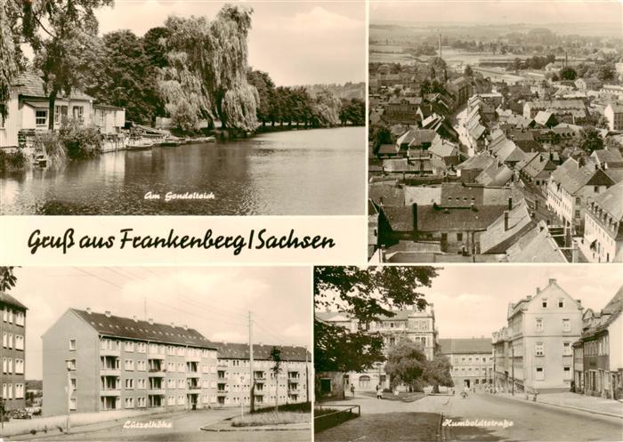 Frankenberg  Sachsen Gondelteich Panorama Luetzelhoehe Humboldtstrasse