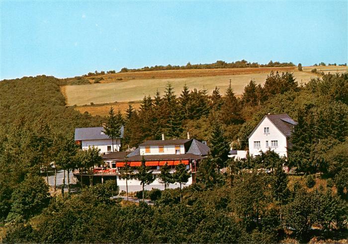 Presberg Rheingau Ruedesheim Gaststaette Rheingauer Alp