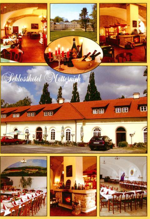 Lazne Kynzvart Bad Koenigswart CZ Schlosshotel Metternich Gastraeume Details