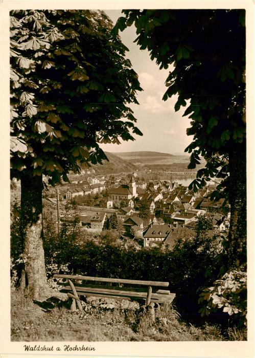 Waldshut-Tiengen Panorama