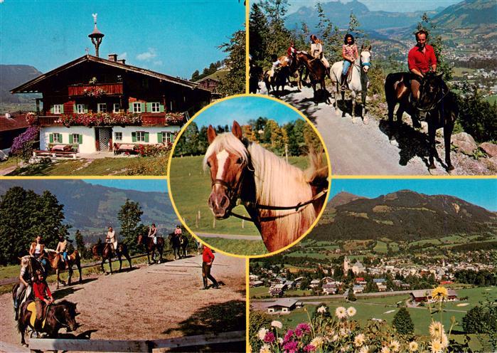 Kitzbuehel Tirol AT Reitstall Henntalhof Ausritte Reitschule Panorama