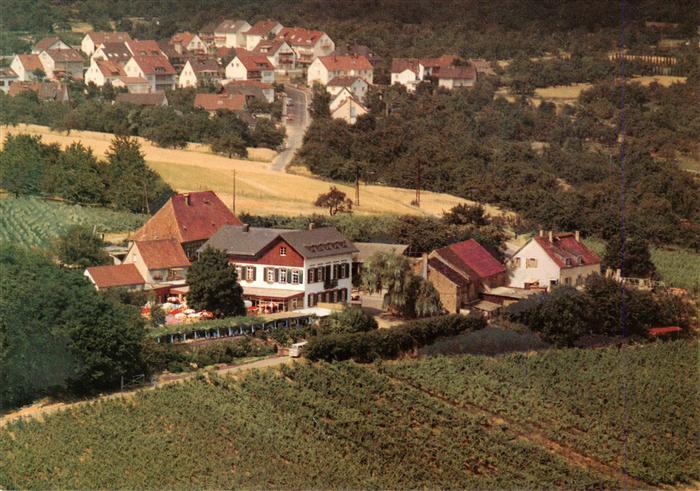 Frauenstein Wiesbaden Gaststaette Weingut Hof Nuernberg Fliegeraufnahme
