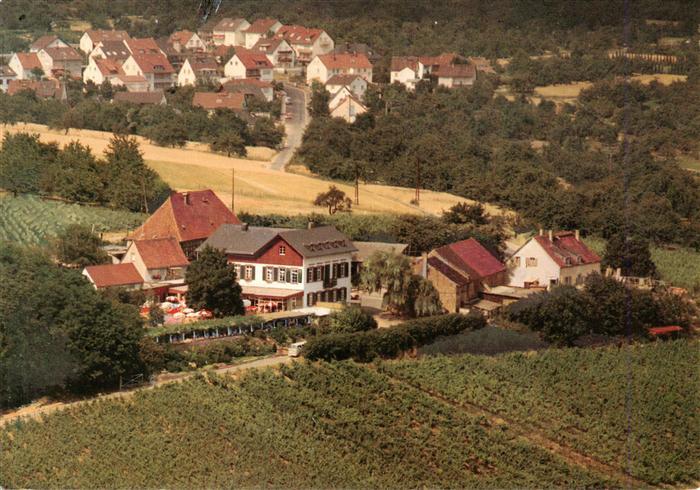 Frauenstein Wiesbaden Gaststaette Weingut Hof Nuernberg Fliegeraufnahme