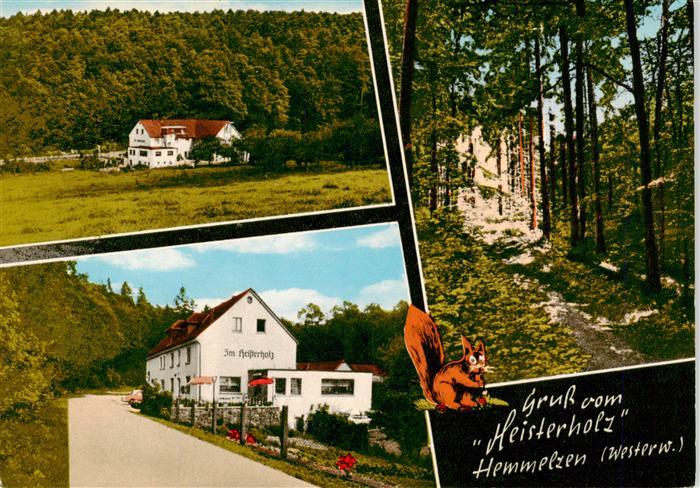 Hemmelzen Gasthaus Im Heisterholz Waldpartie