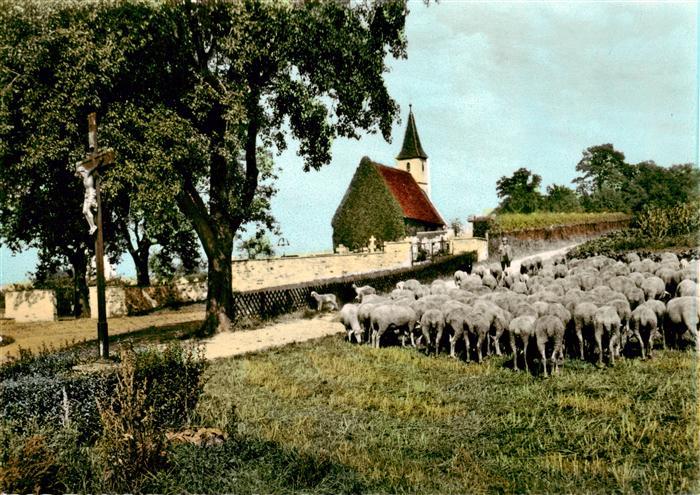 Unterboihingen Wendlingen Neckar Friedhofskapelle Schafherde
