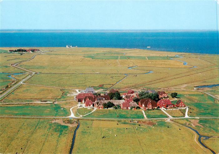 Hallig Hooge Hanswarft und Backenswarft Fliegeraufnahme